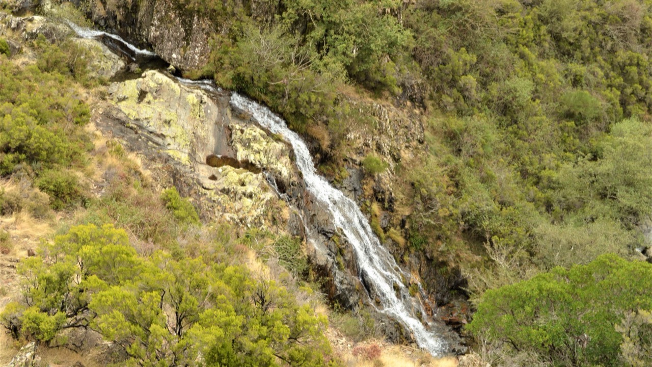 Castanheira de Pera