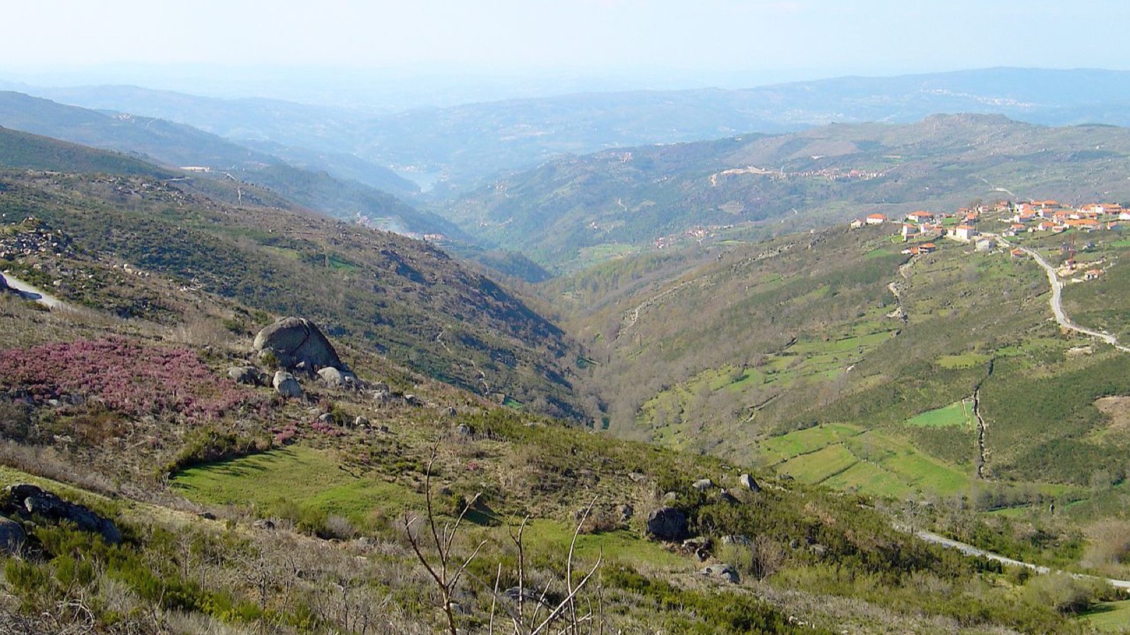 Cinfães