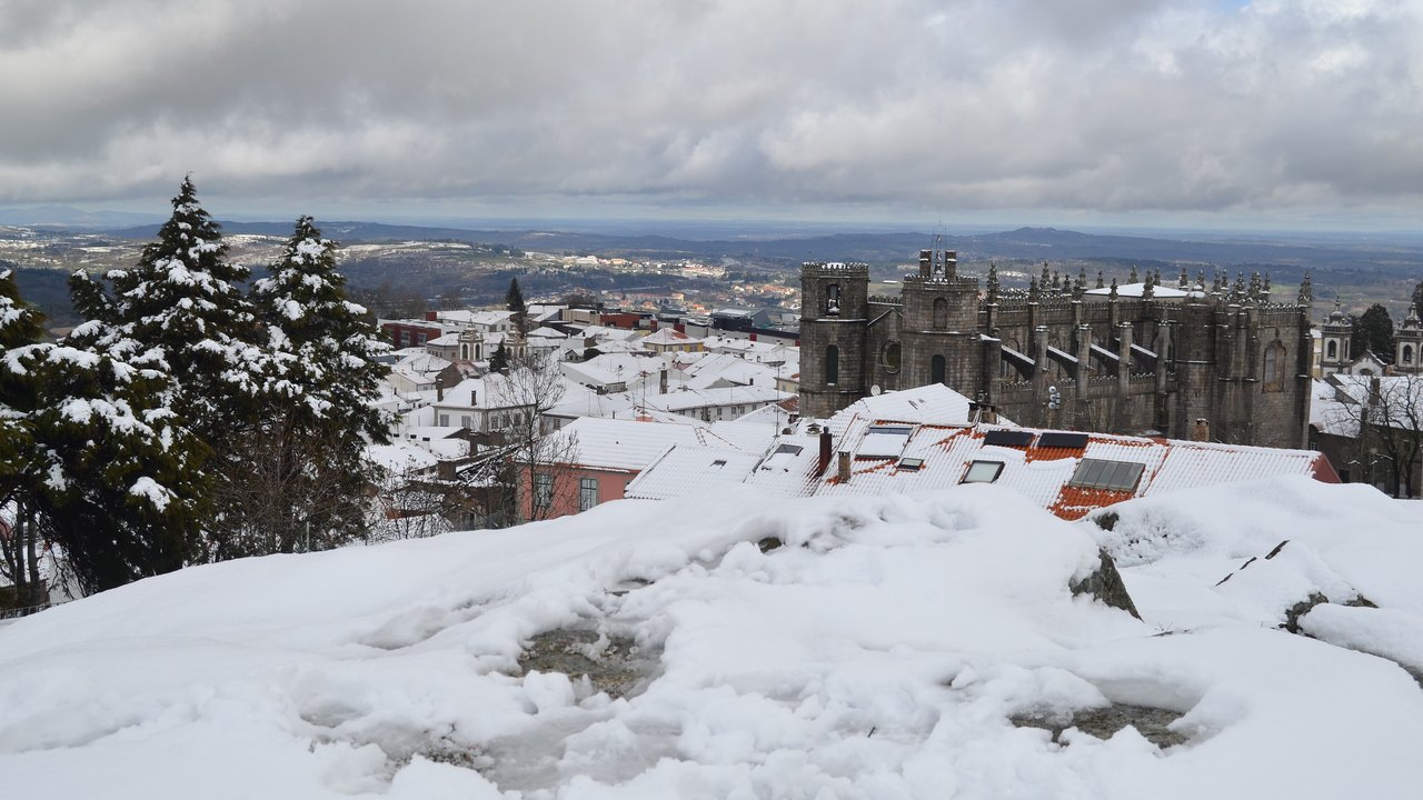 Guarda