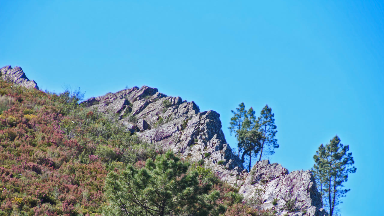 Oleiros