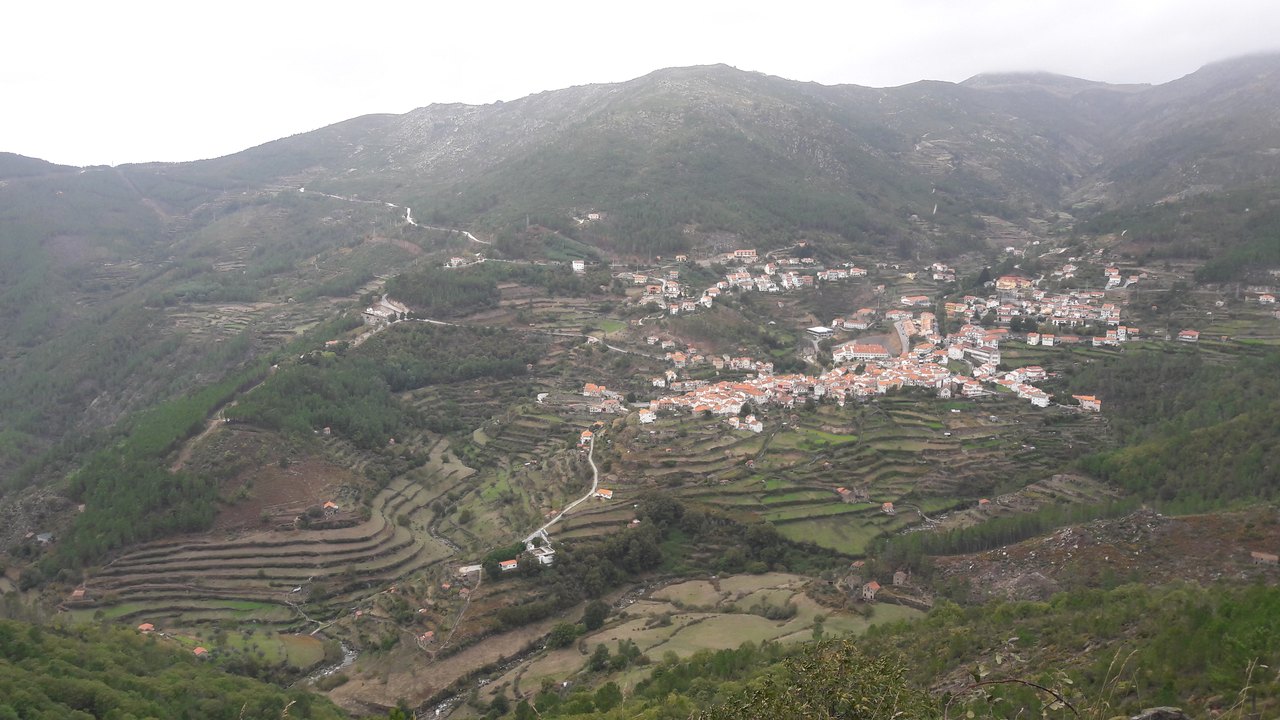 Seia