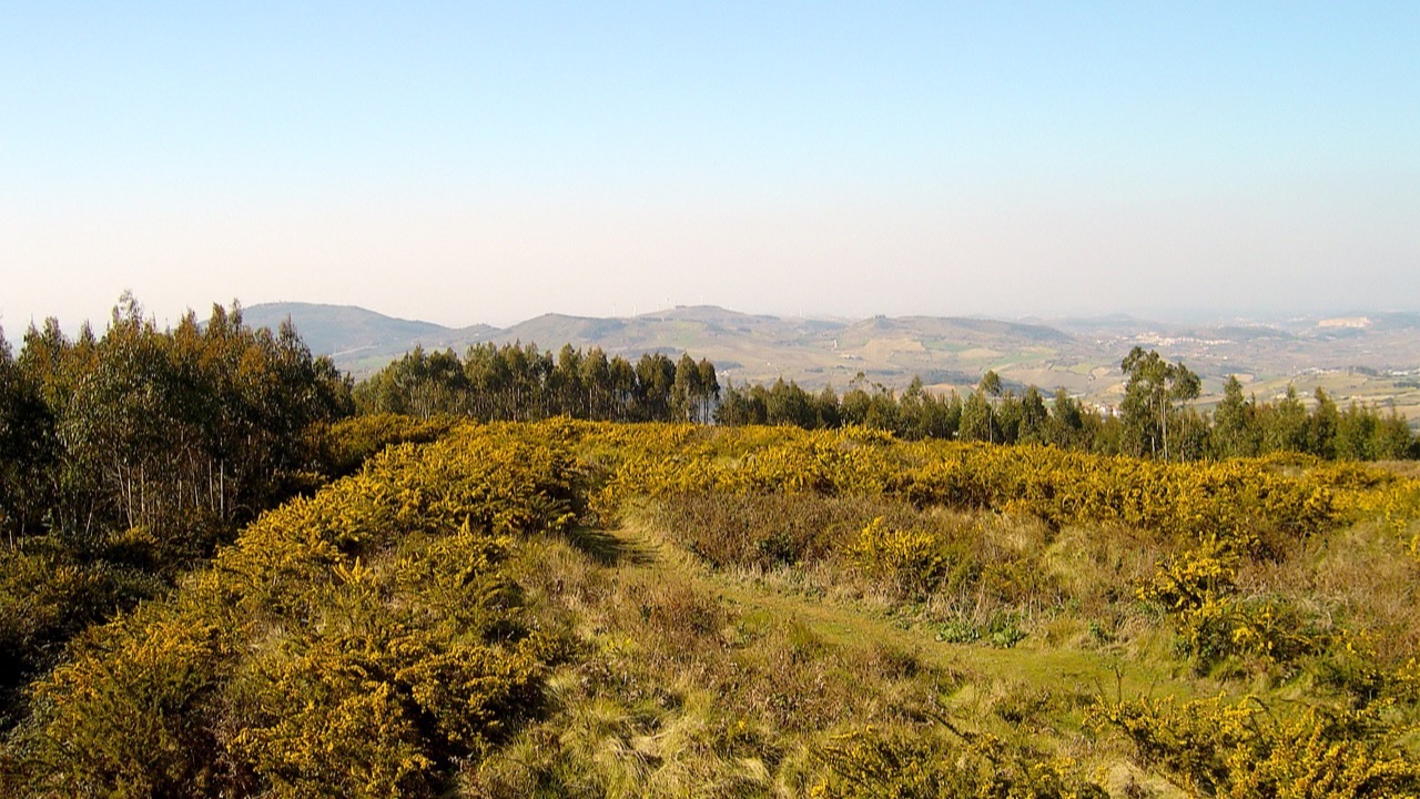 Sobral de Monte Agraço
